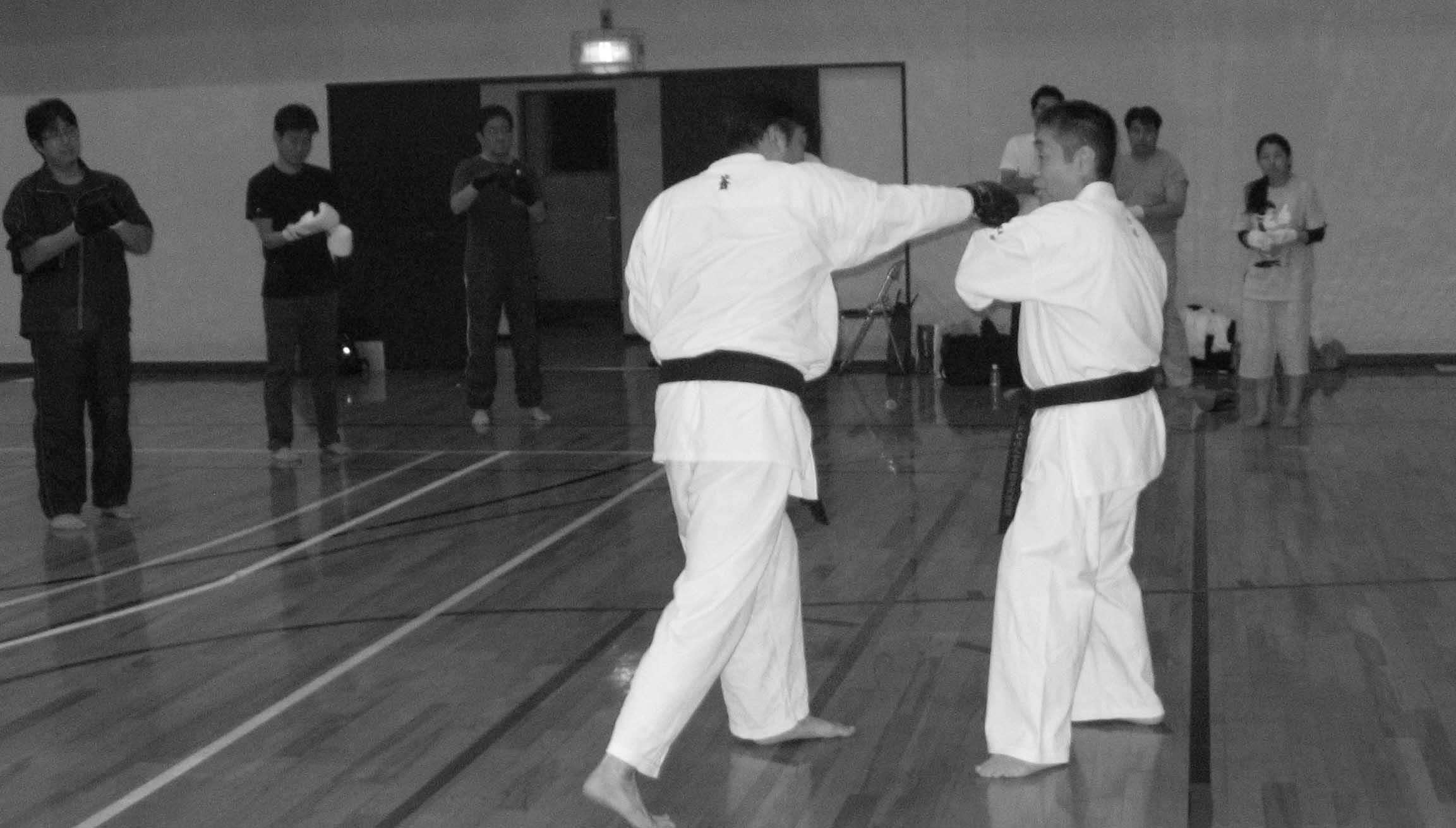 ĳ��������