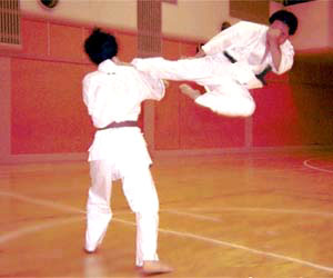 ���ъڒ��@��яR��